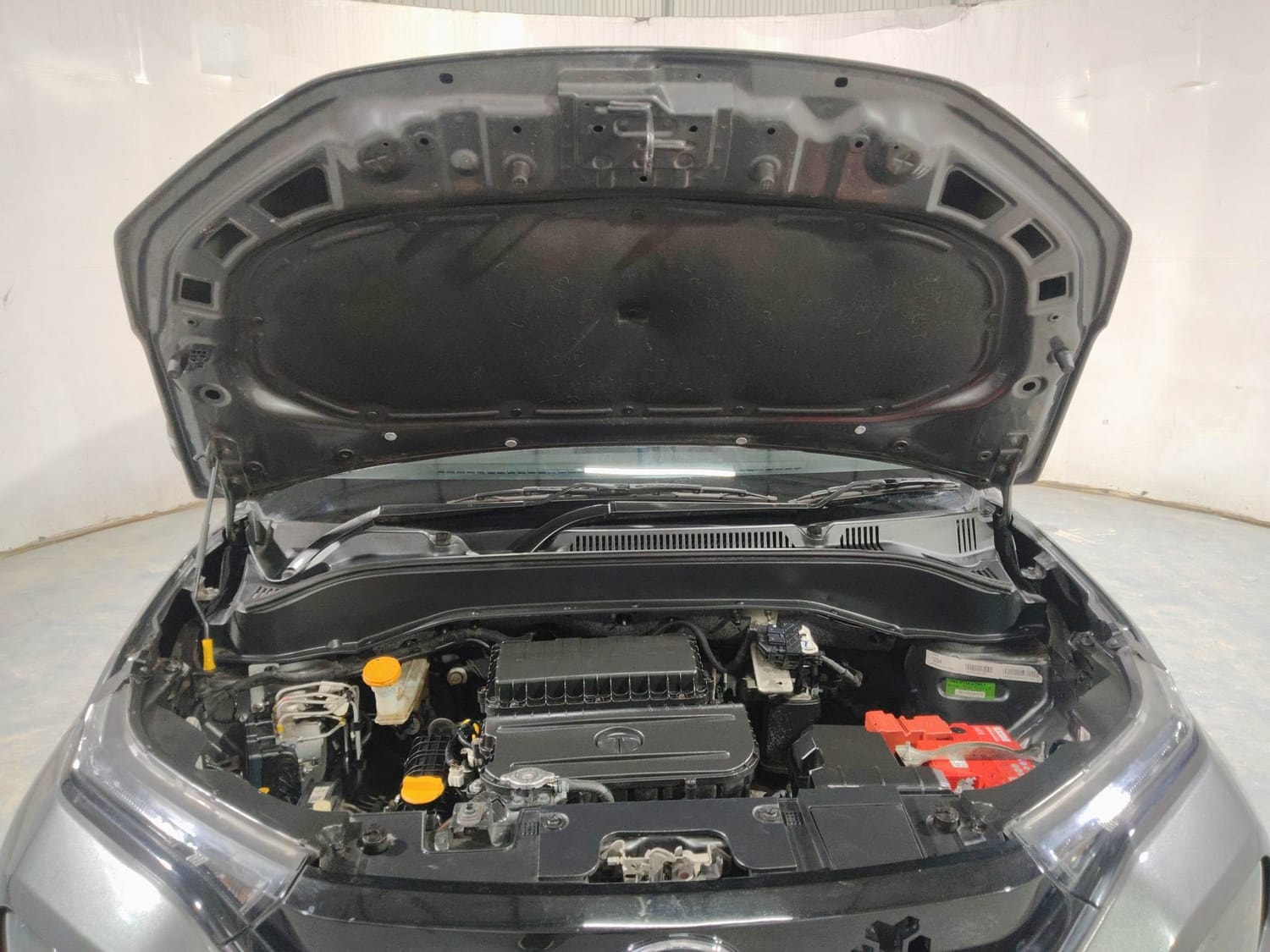 Punch image 27 Punch image 27