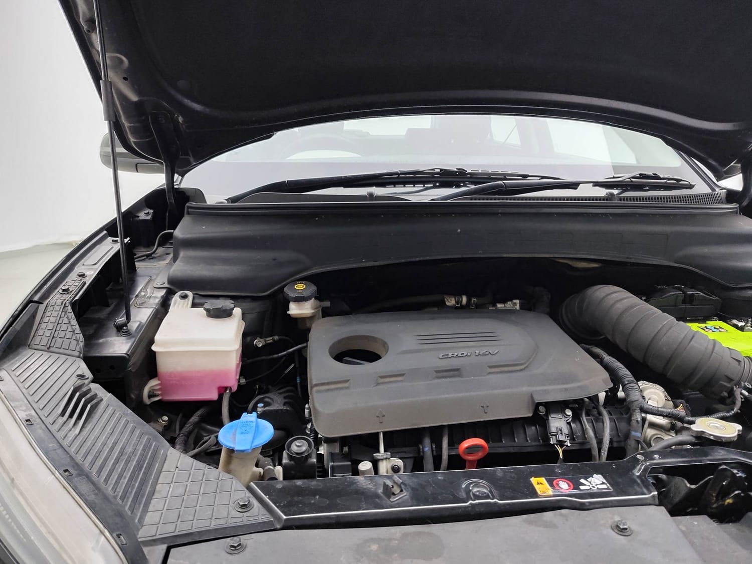 Creta image 31 Creta image 31