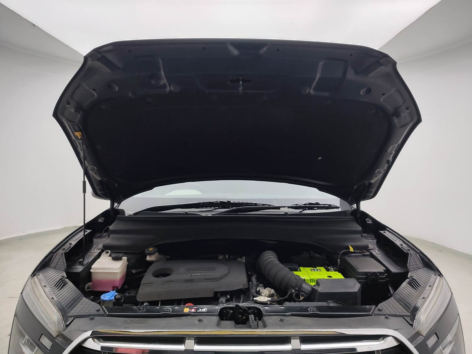 Creta image 27 Creta image 27