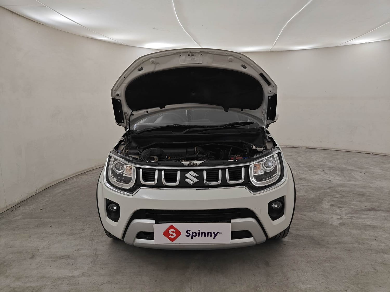 Ignis image 27 Ignis image 27