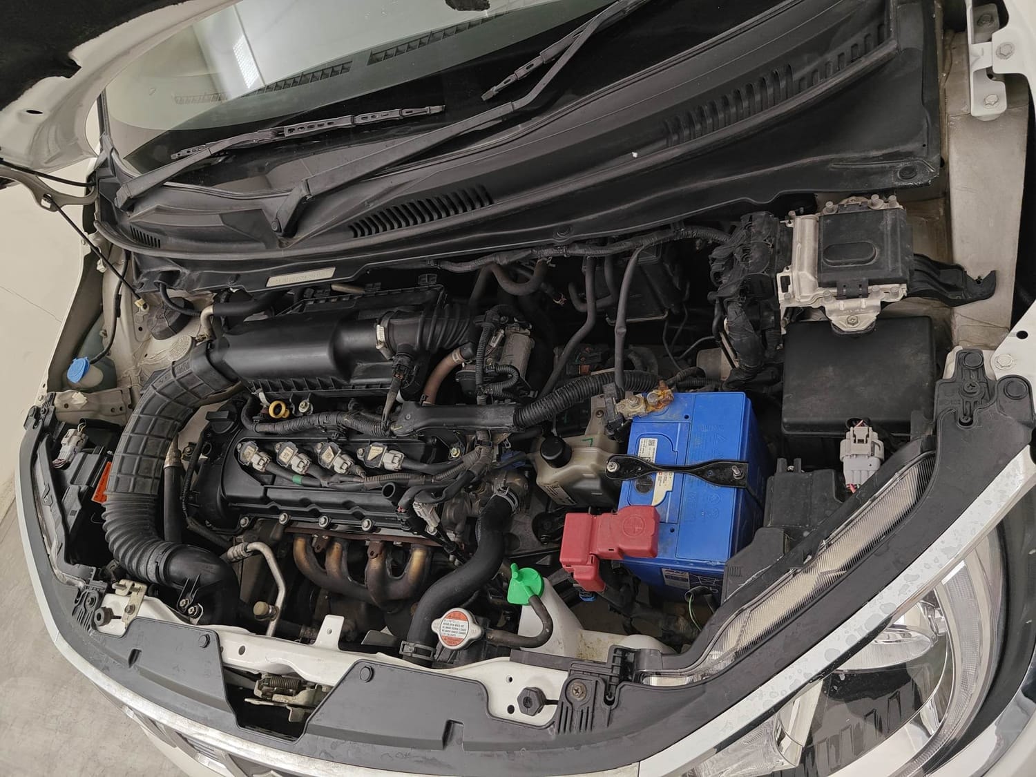 Ignis image 28 Ignis image 28