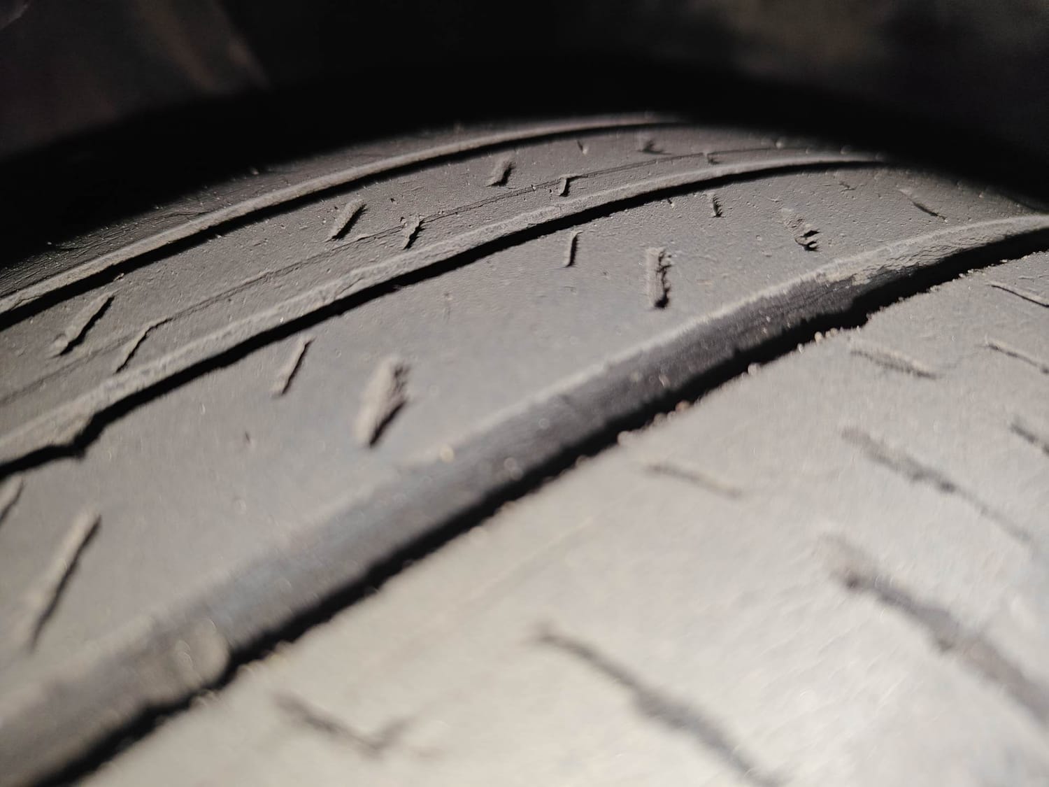 Ignis image 36 Ignis image 36