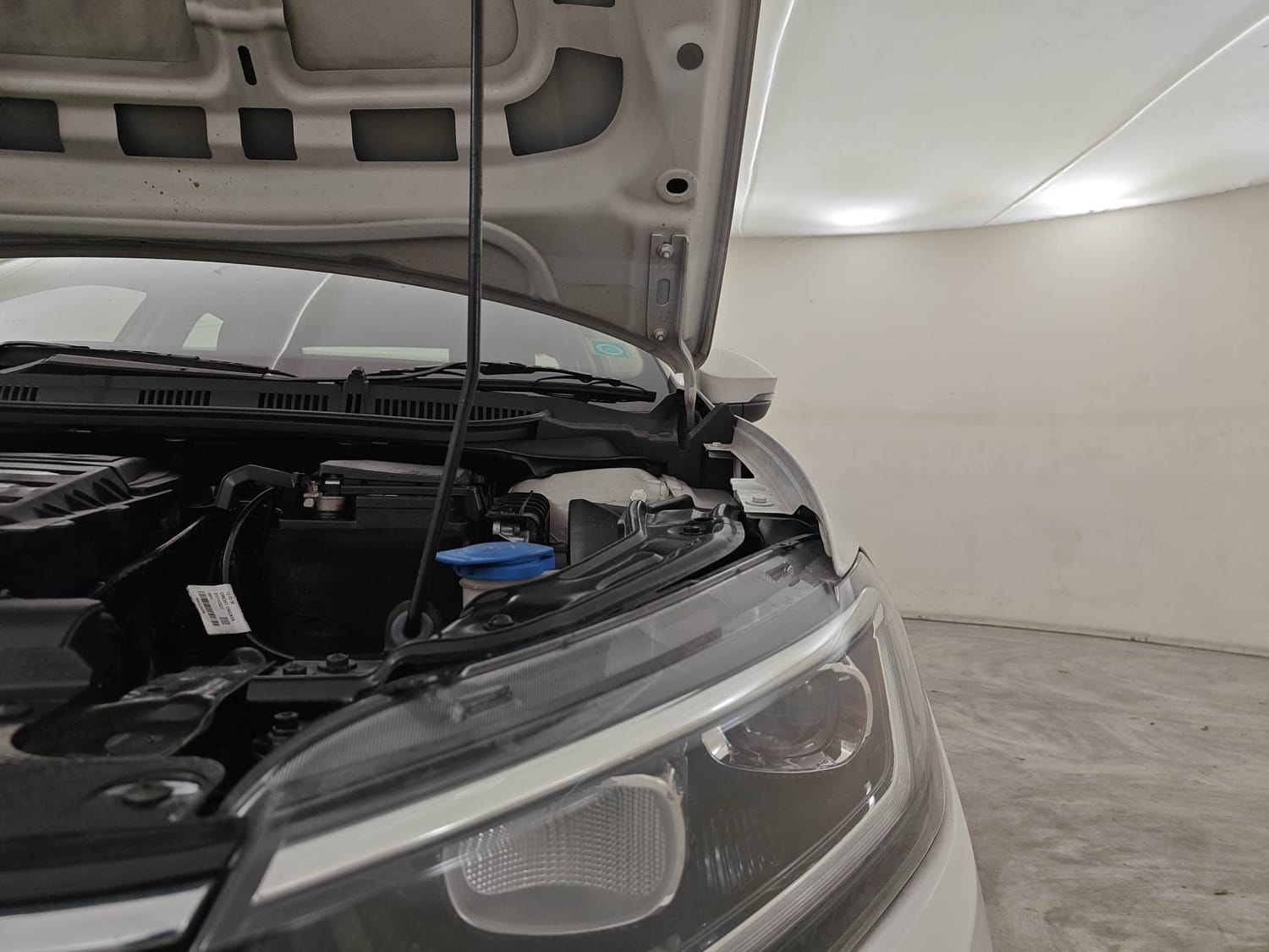 Virtus image 30 Virtus image 30