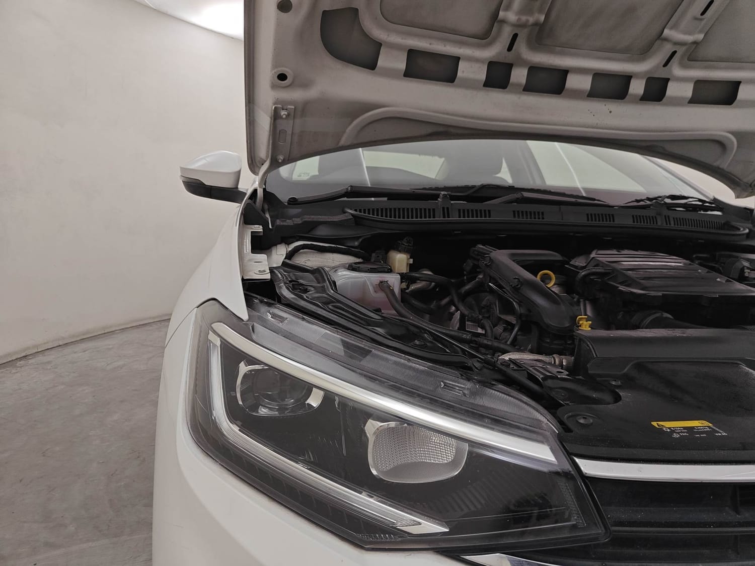 Virtus image 31 Virtus image 31