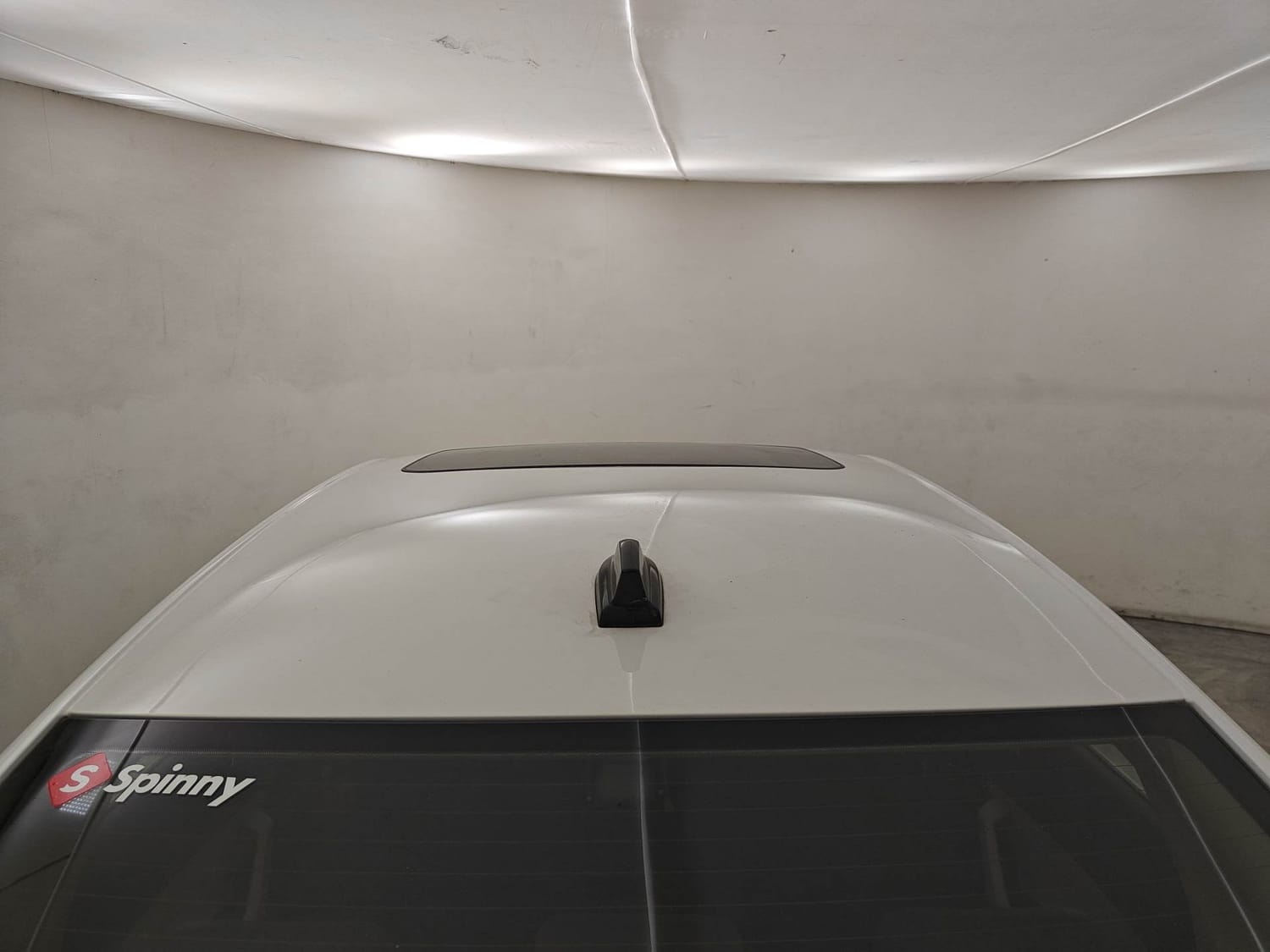 Virtus image 11 Virtus image 11