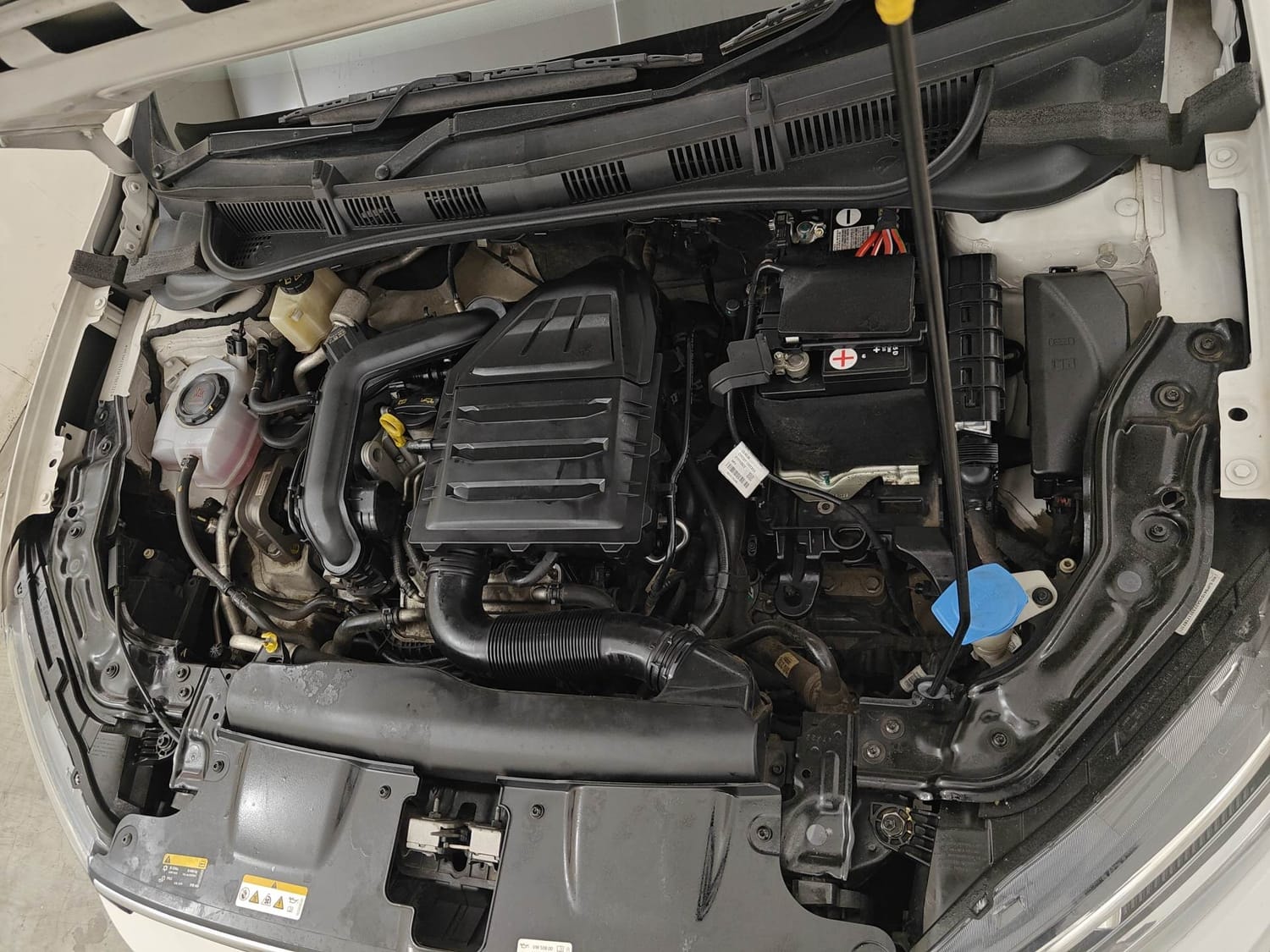 Virtus image 28 Virtus image 28