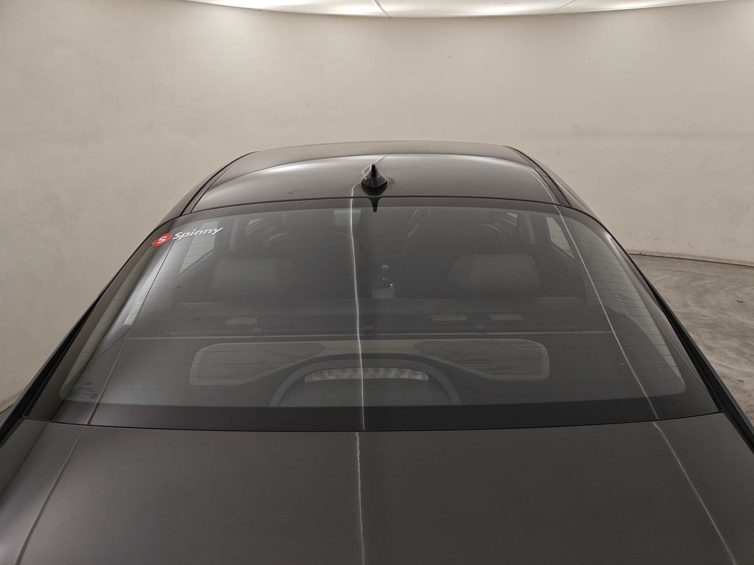 Verna image 10 Verna image 10