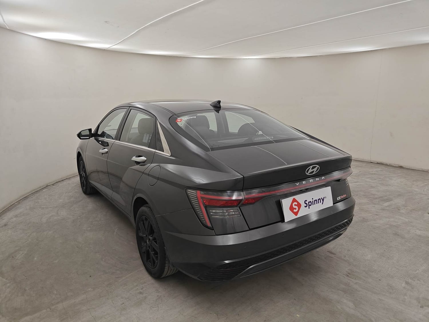 Verna image 3 Verna image 3