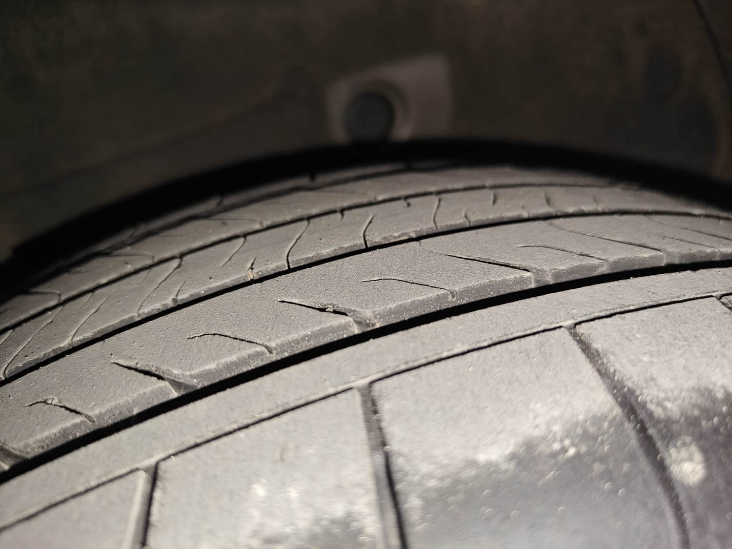 Verna image 37 Verna image 37