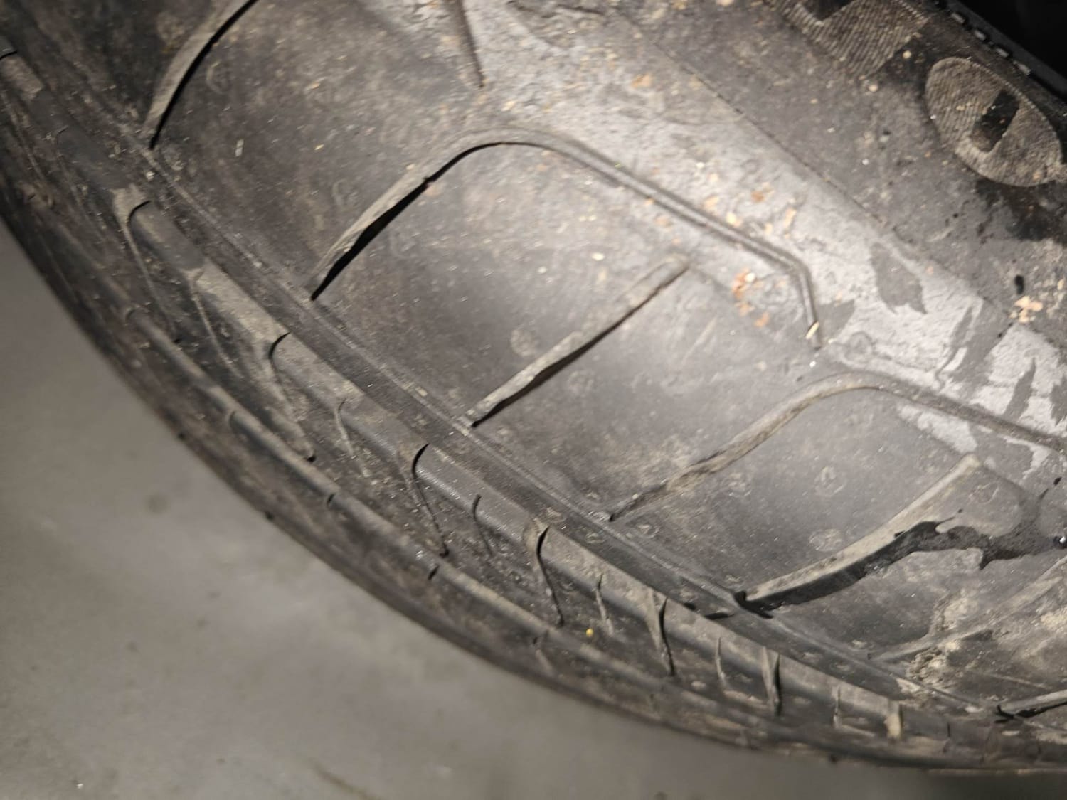 Verna image 40 Verna image 40