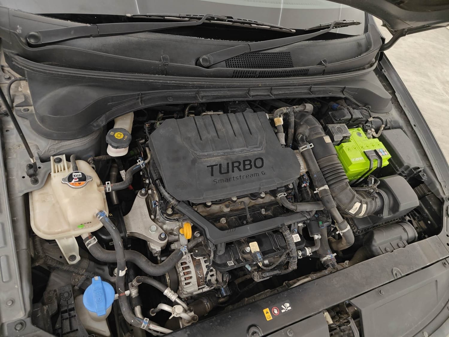 Verna image 29 Verna image 29