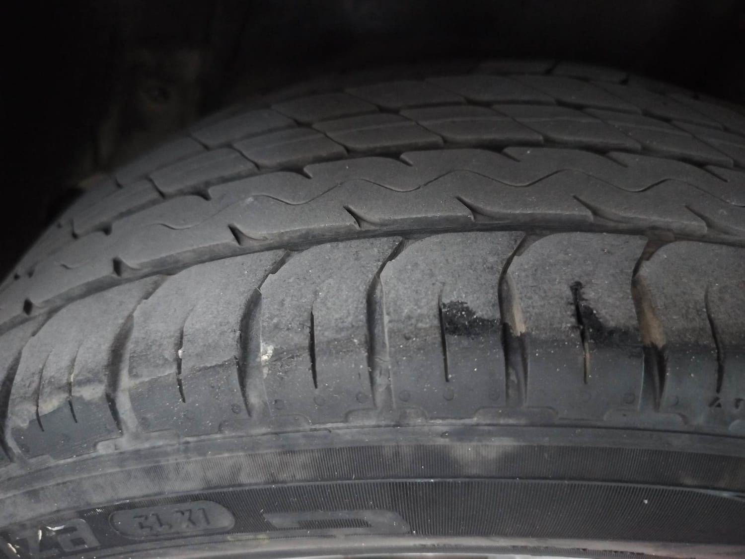 Polo image 39 Polo image 39