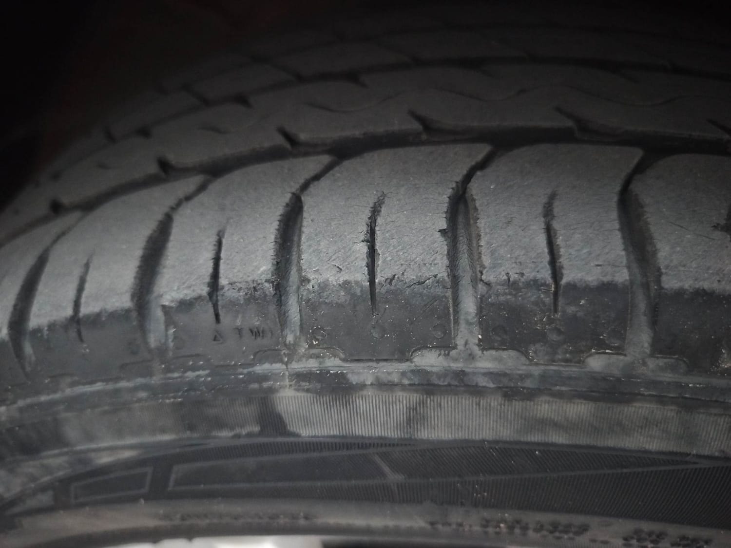 Polo image 36 Polo image 36