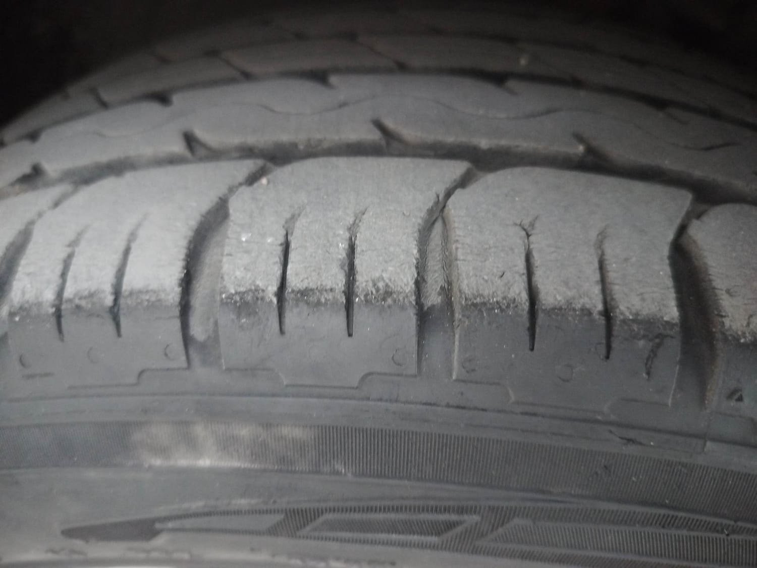 Polo image 38 Polo image 38