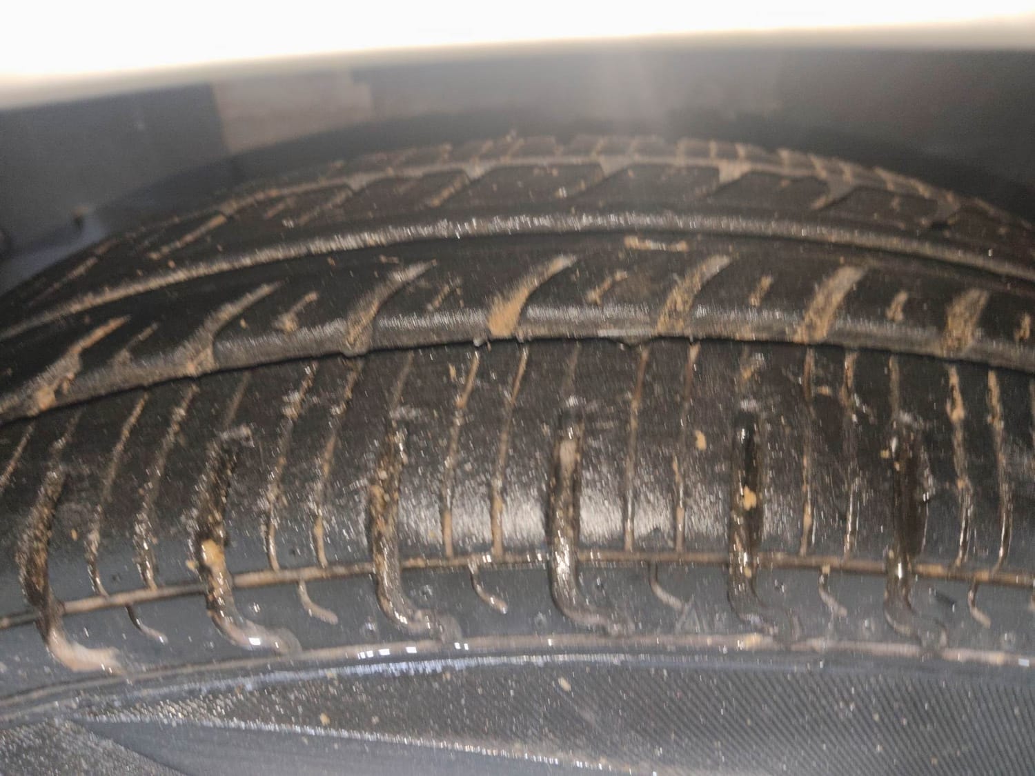 Redi GO image 38 Redi GO image 38