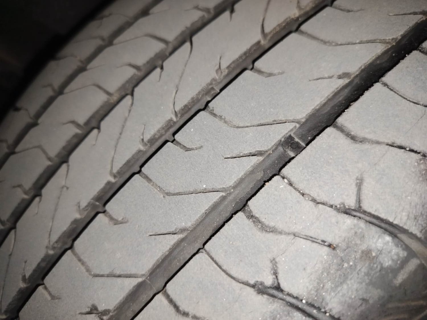 Alcazar image 37 Alcazar image 37