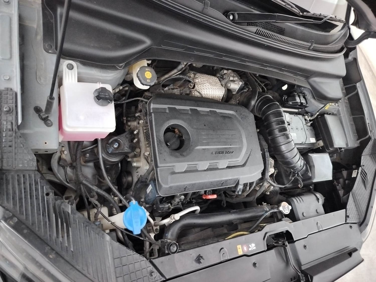 Alcazar image 29 Alcazar image 29