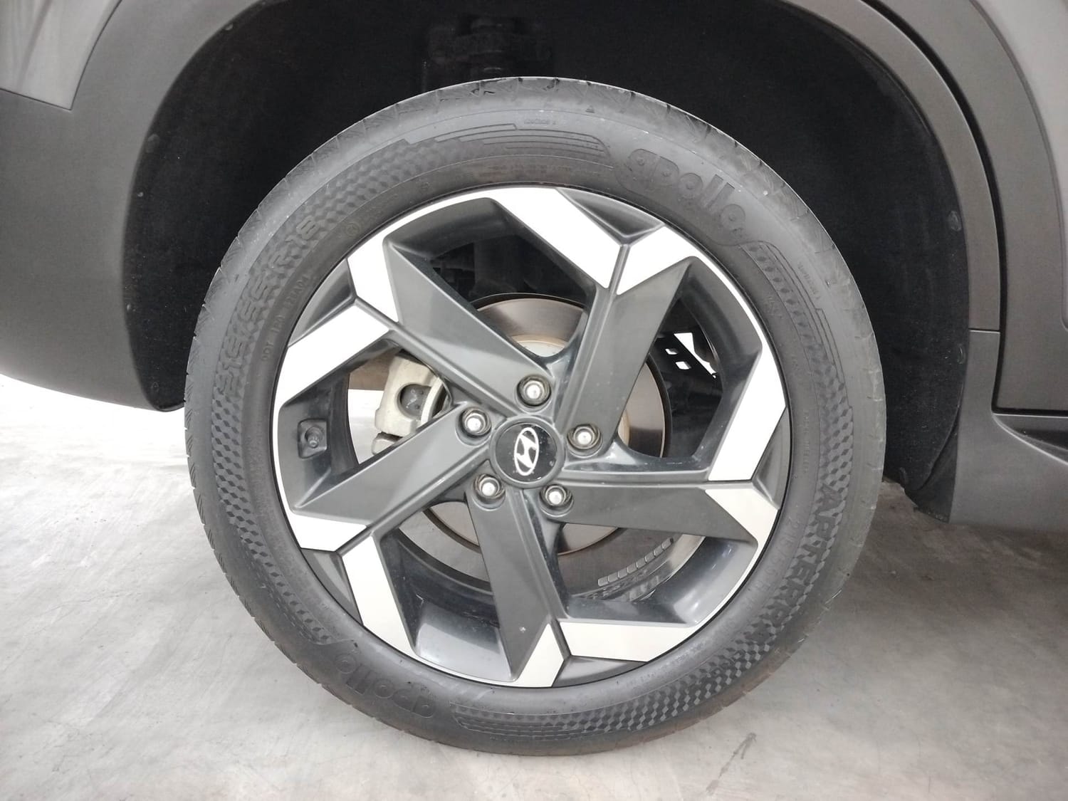 Alcazar image 33 Alcazar image 33