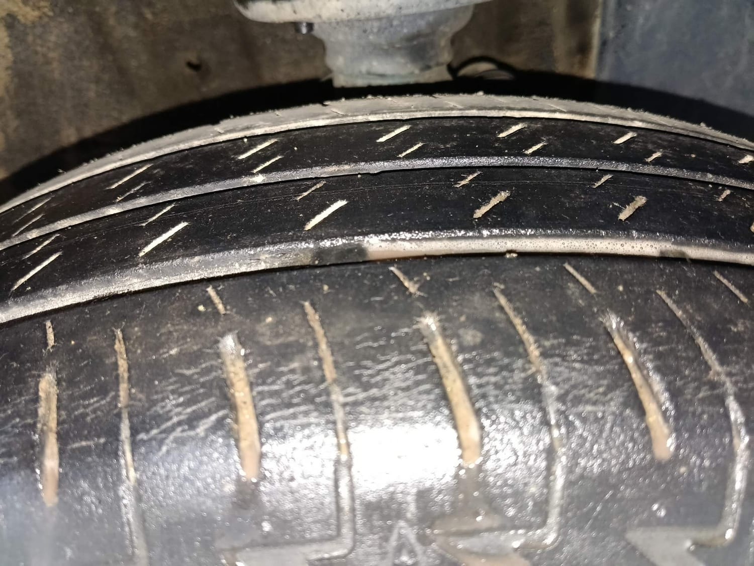 Ignis image 36 Ignis image 36