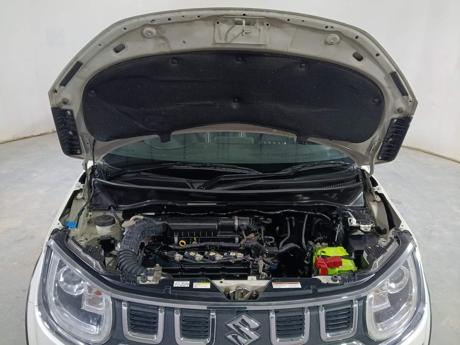 Ignis image 27 Ignis image 27