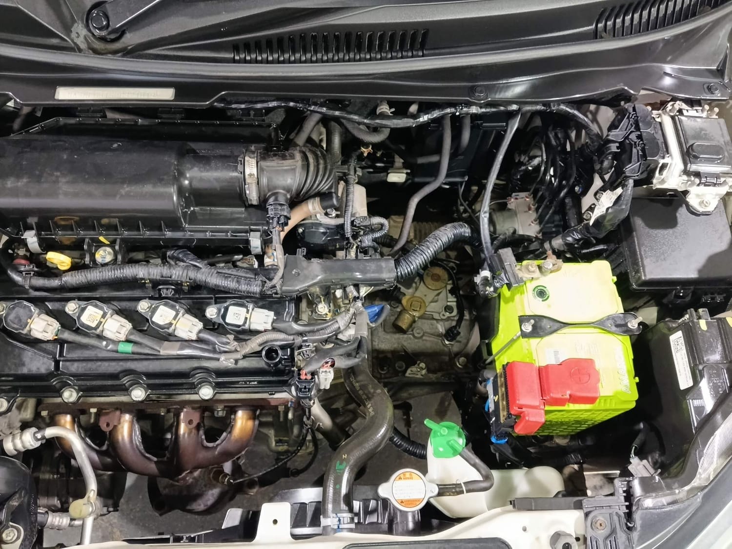 Ignis image 28 Ignis image 28