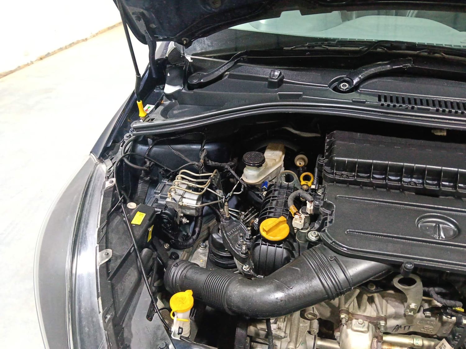 Tigor image 31 Tigor image 31