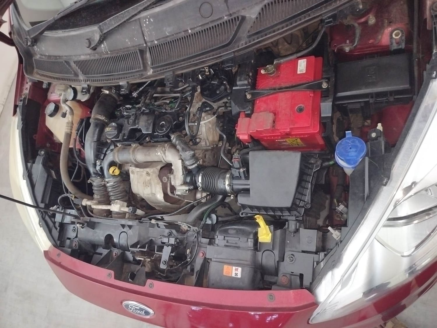 Figo image 28 Figo image 28