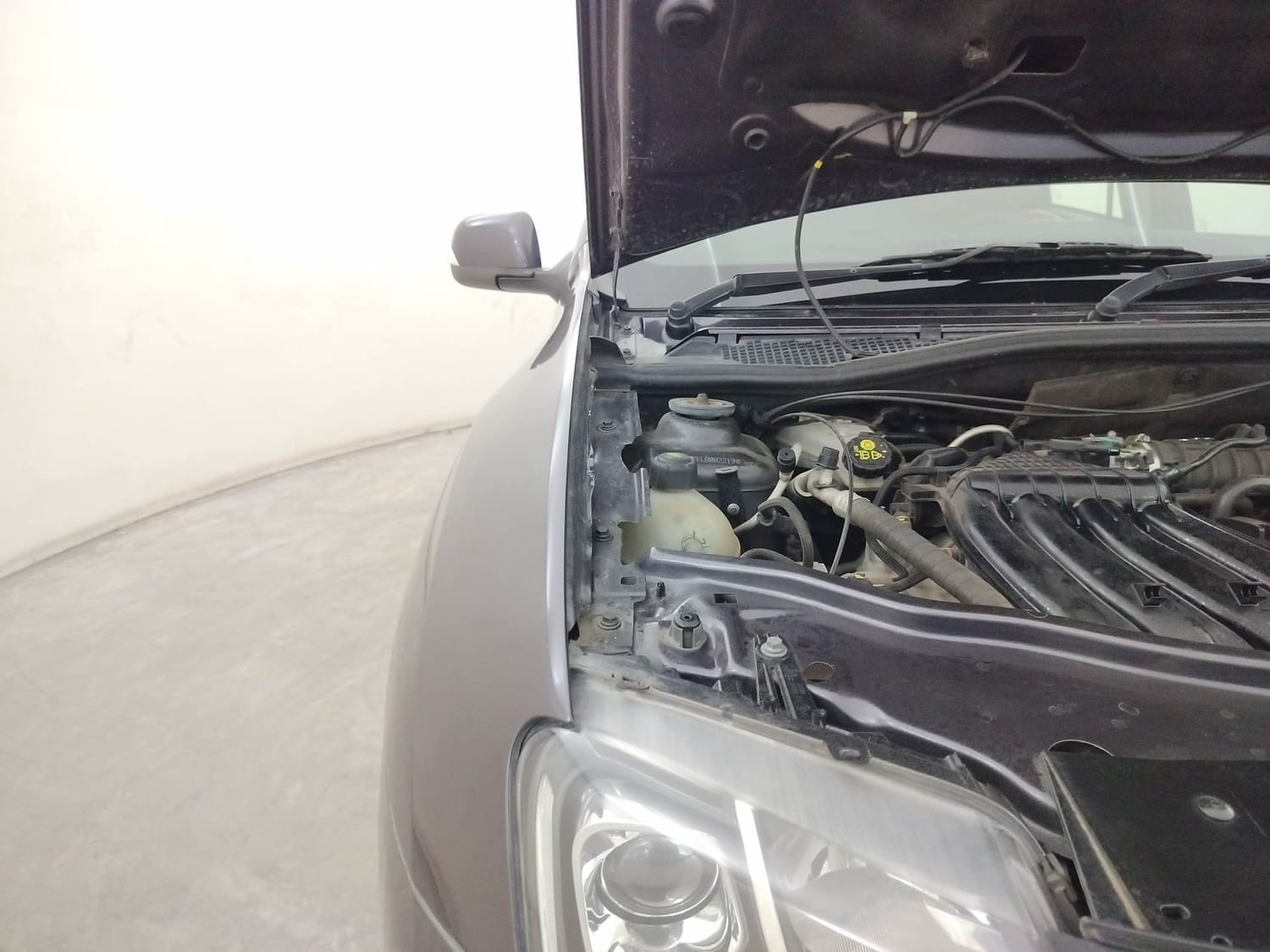 Duster image 31 Duster image 31