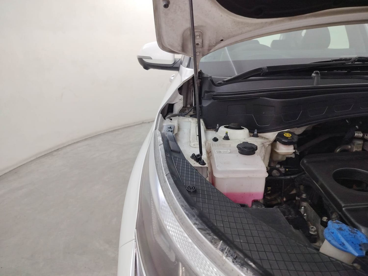 Seltos image 31 Seltos image 31