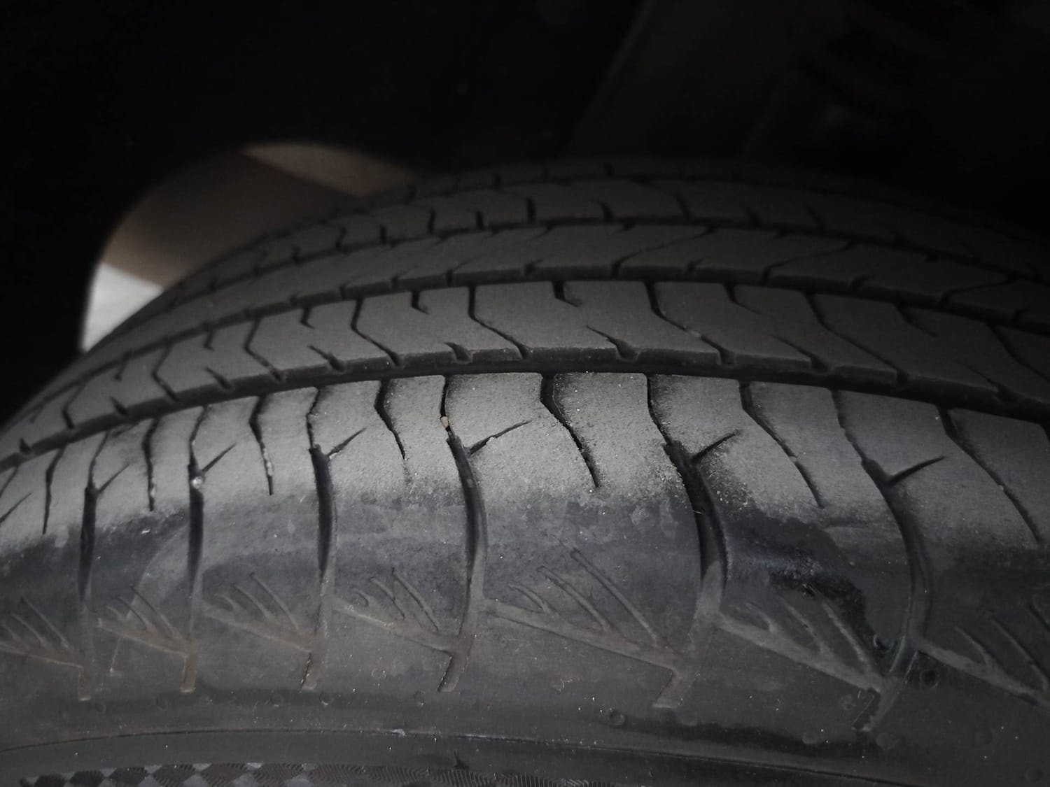 Alcazar image 37 Alcazar image 37