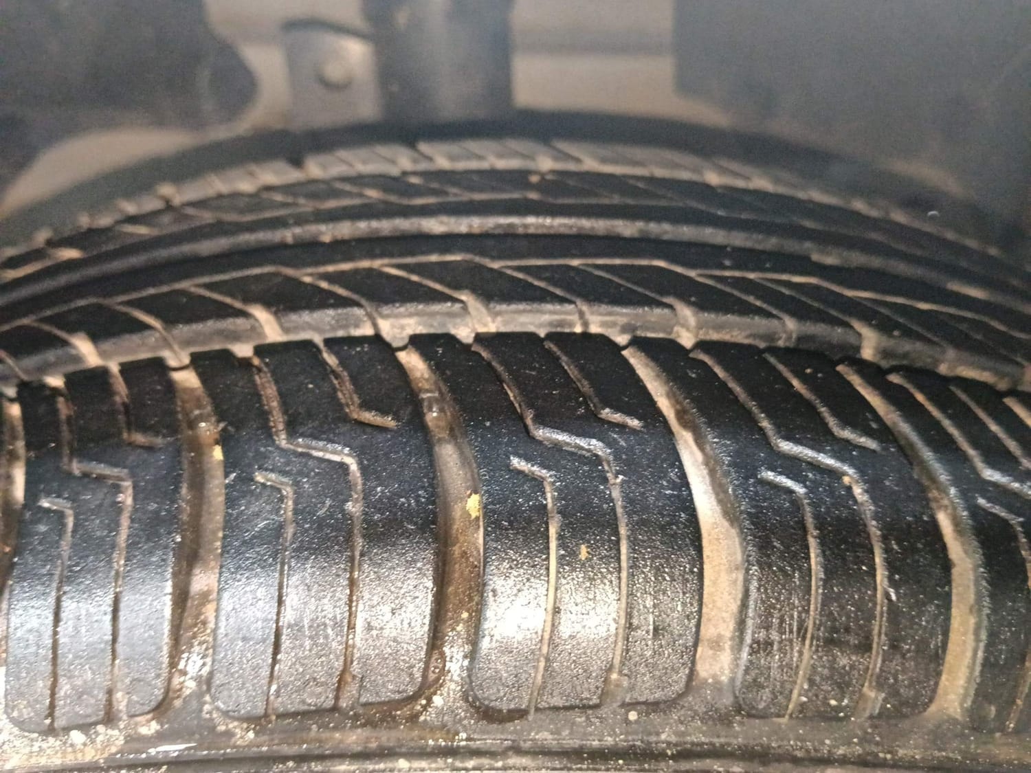 Figo image 36 Figo image 36