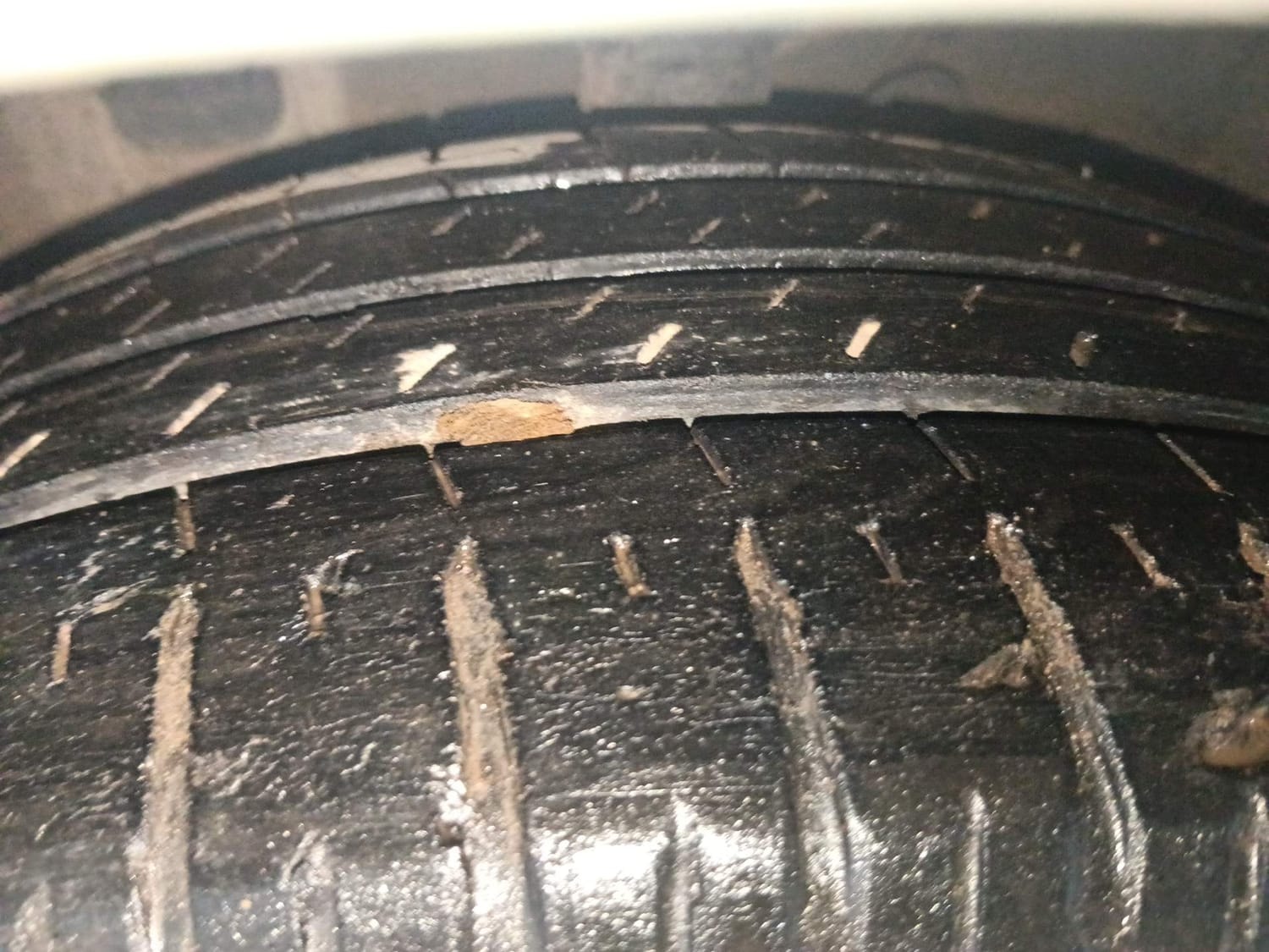 Fluidic Verna image 38 Fluidic Verna image 38