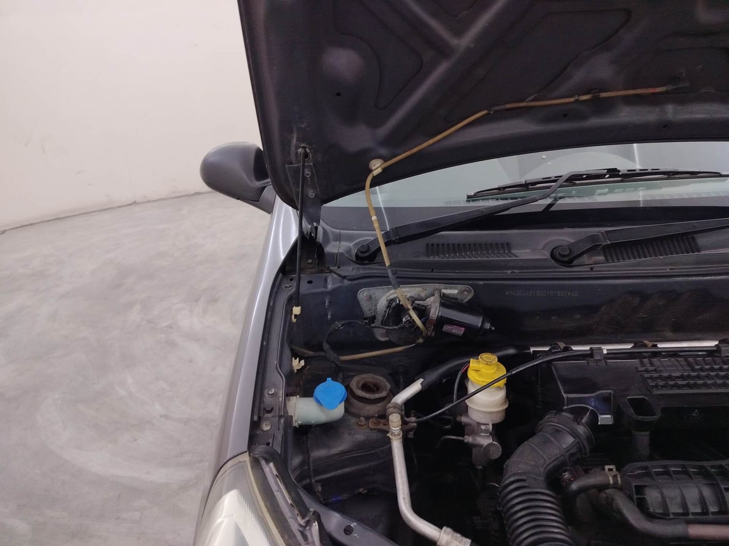 Alto 800 image 31 Alto 800 image 31