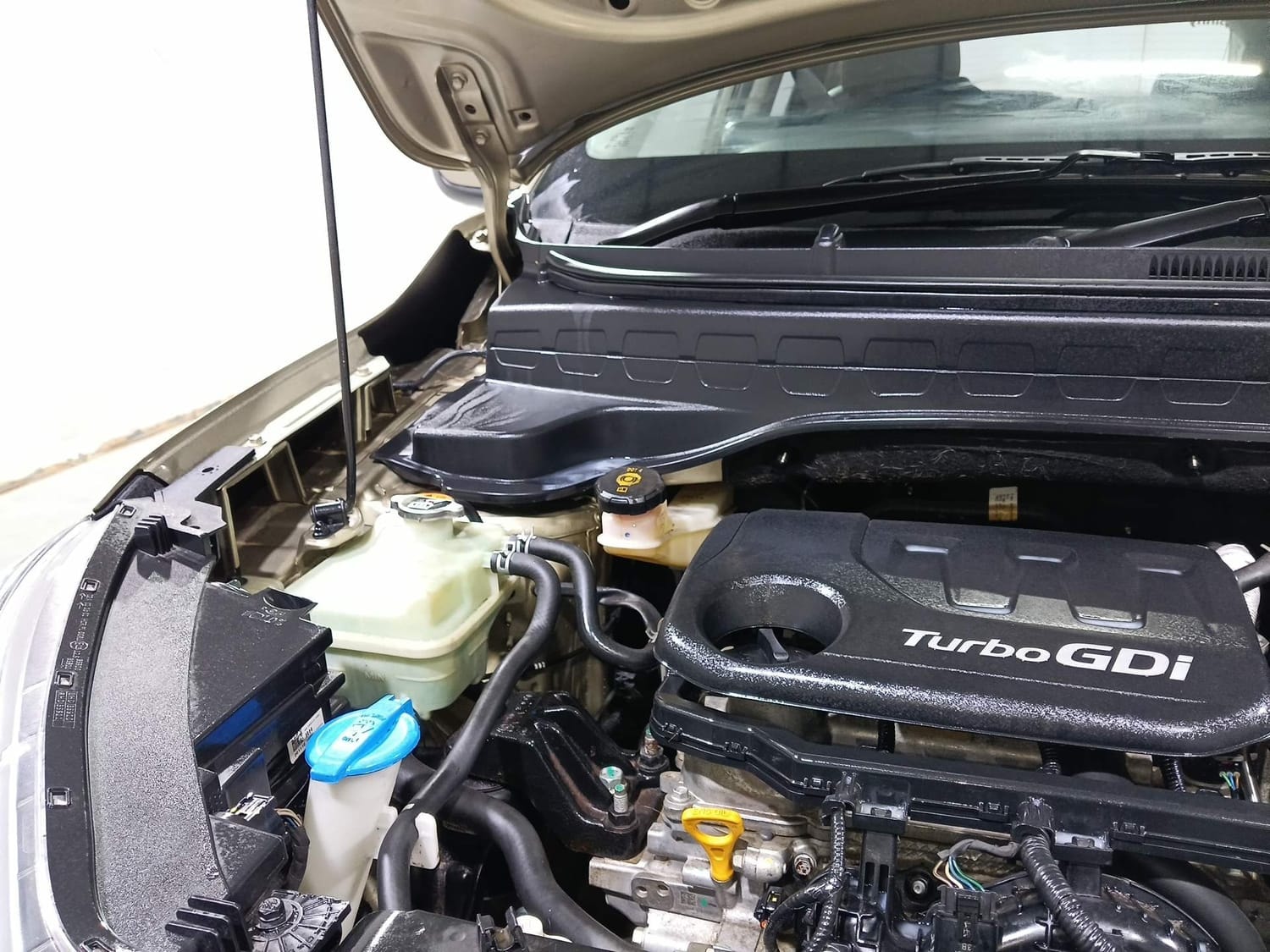 Sonet image 31 Sonet image 31