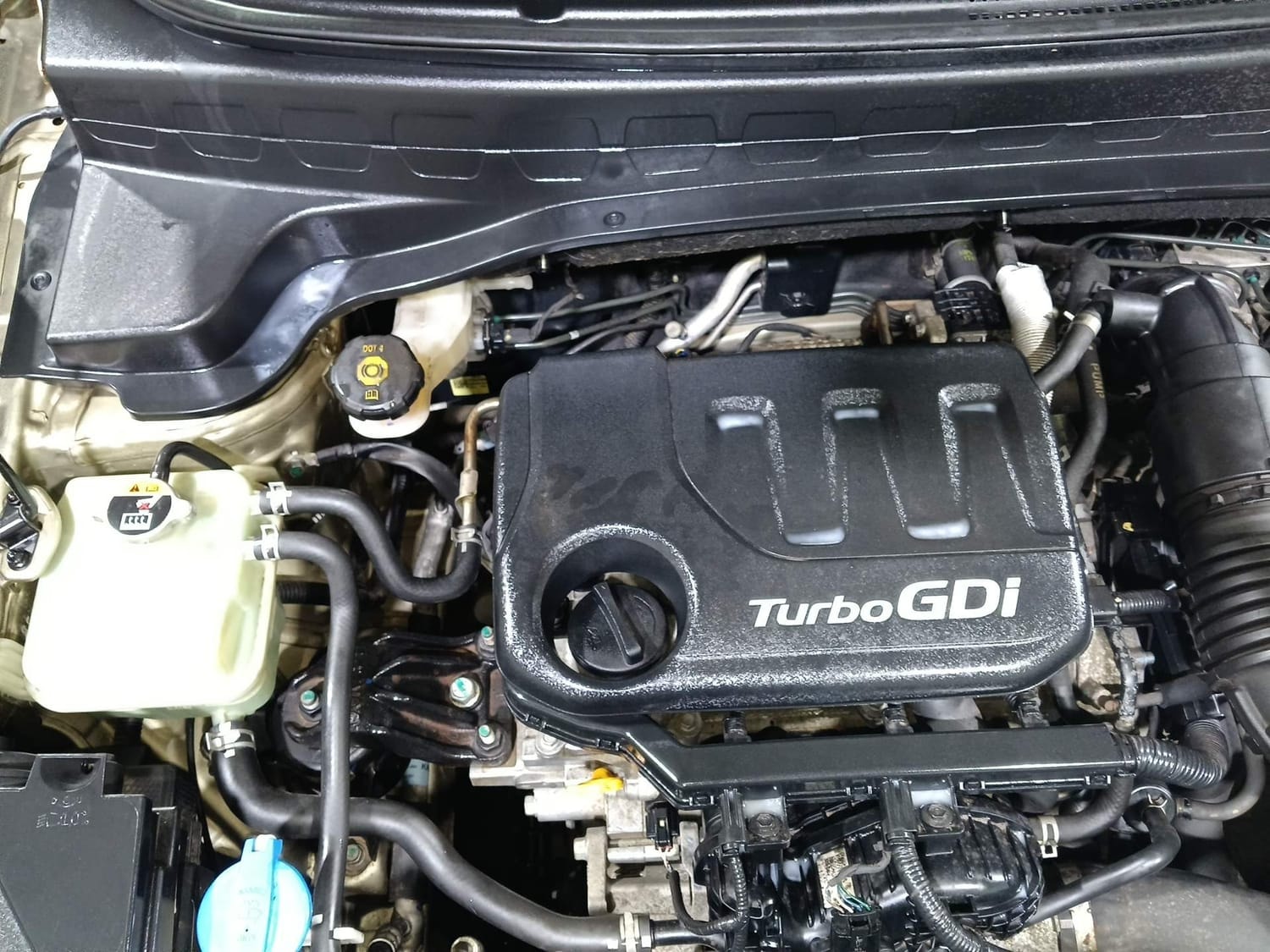 Sonet image 29 Sonet image 29