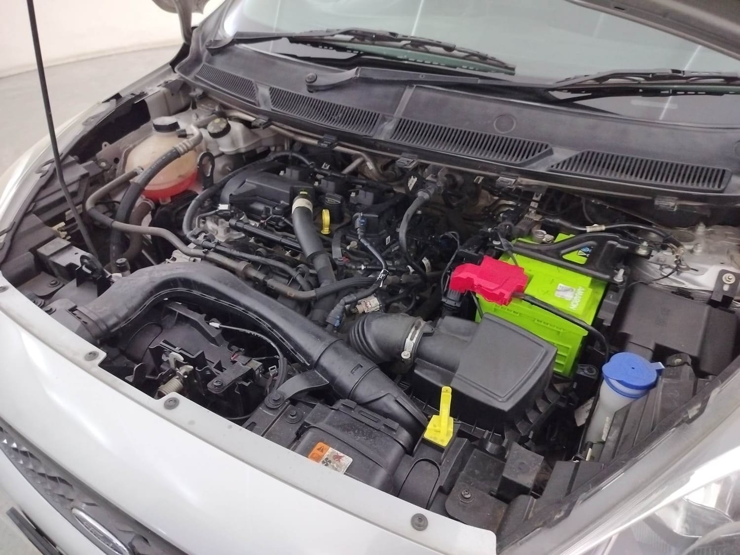 Freestyle image 28 Freestyle image 28