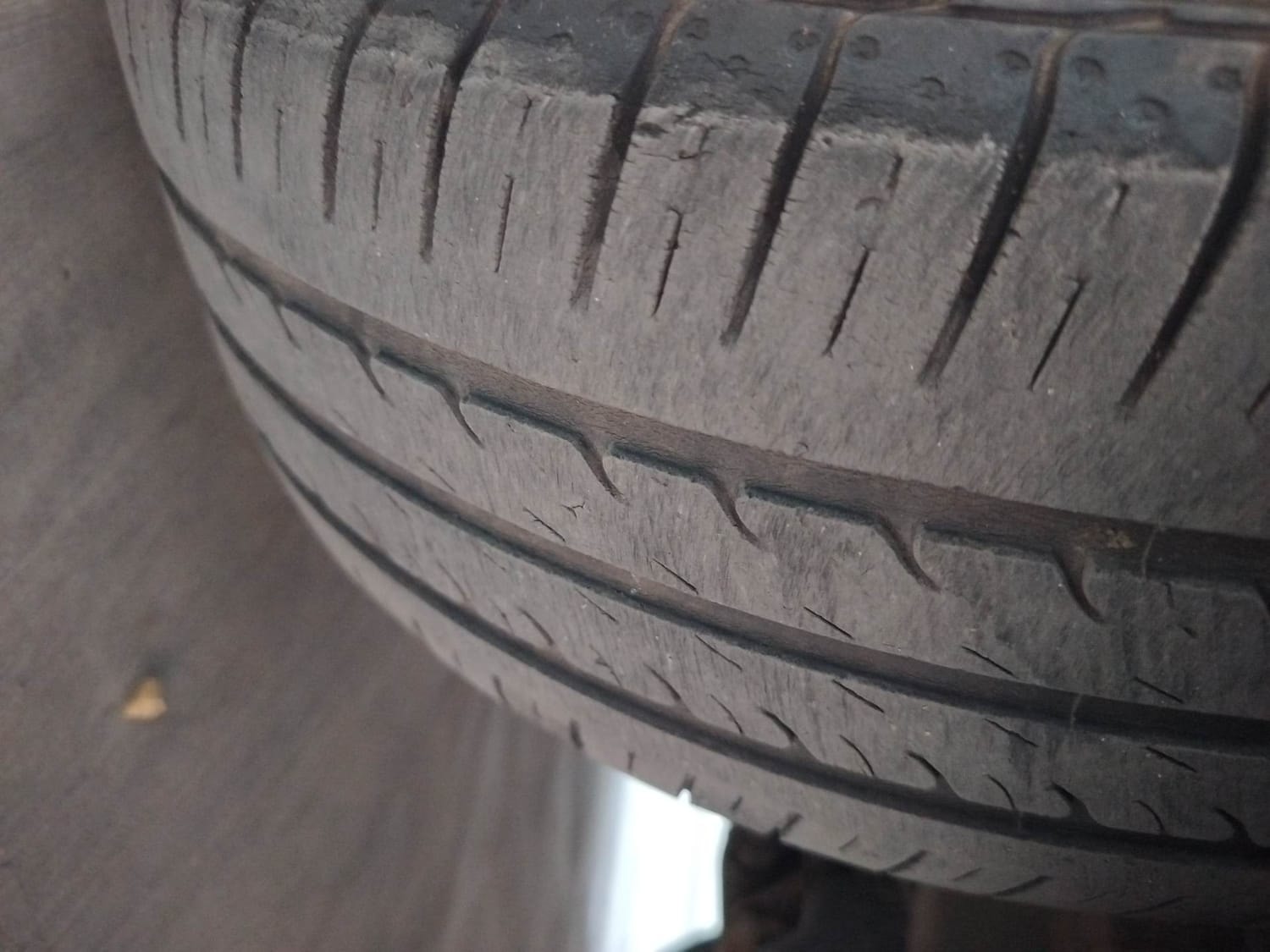 Freestyle image 36 Freestyle image 36