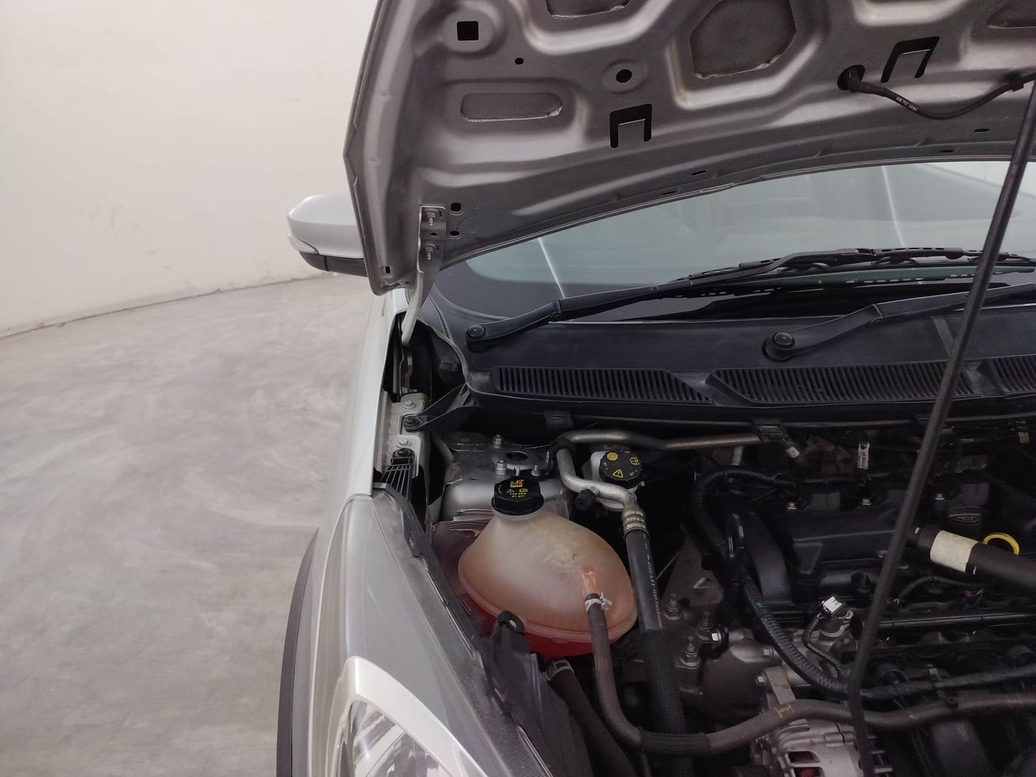 Freestyle image 31 Freestyle image 31