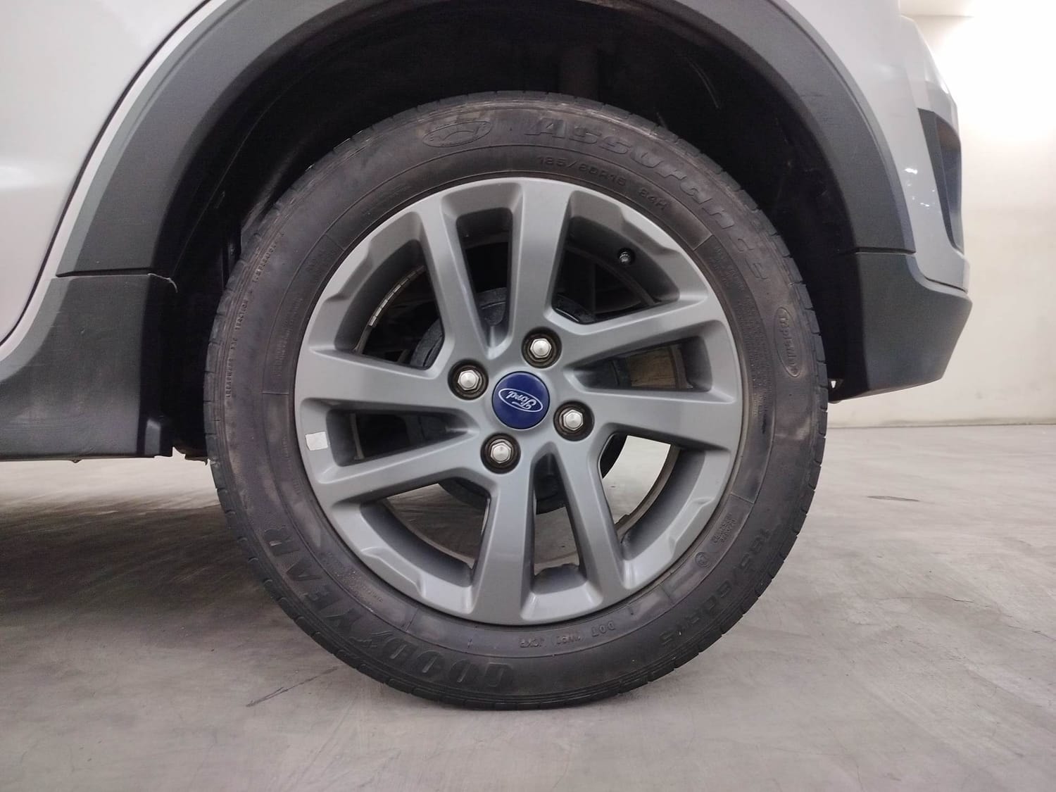 Freestyle image 35 Freestyle image 35