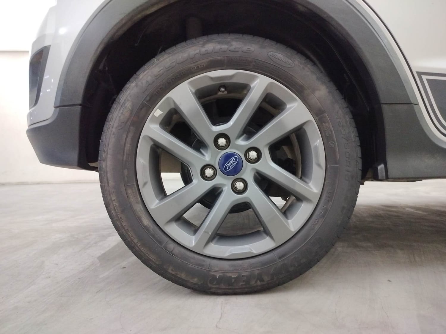 Freestyle image 33 Freestyle image 33