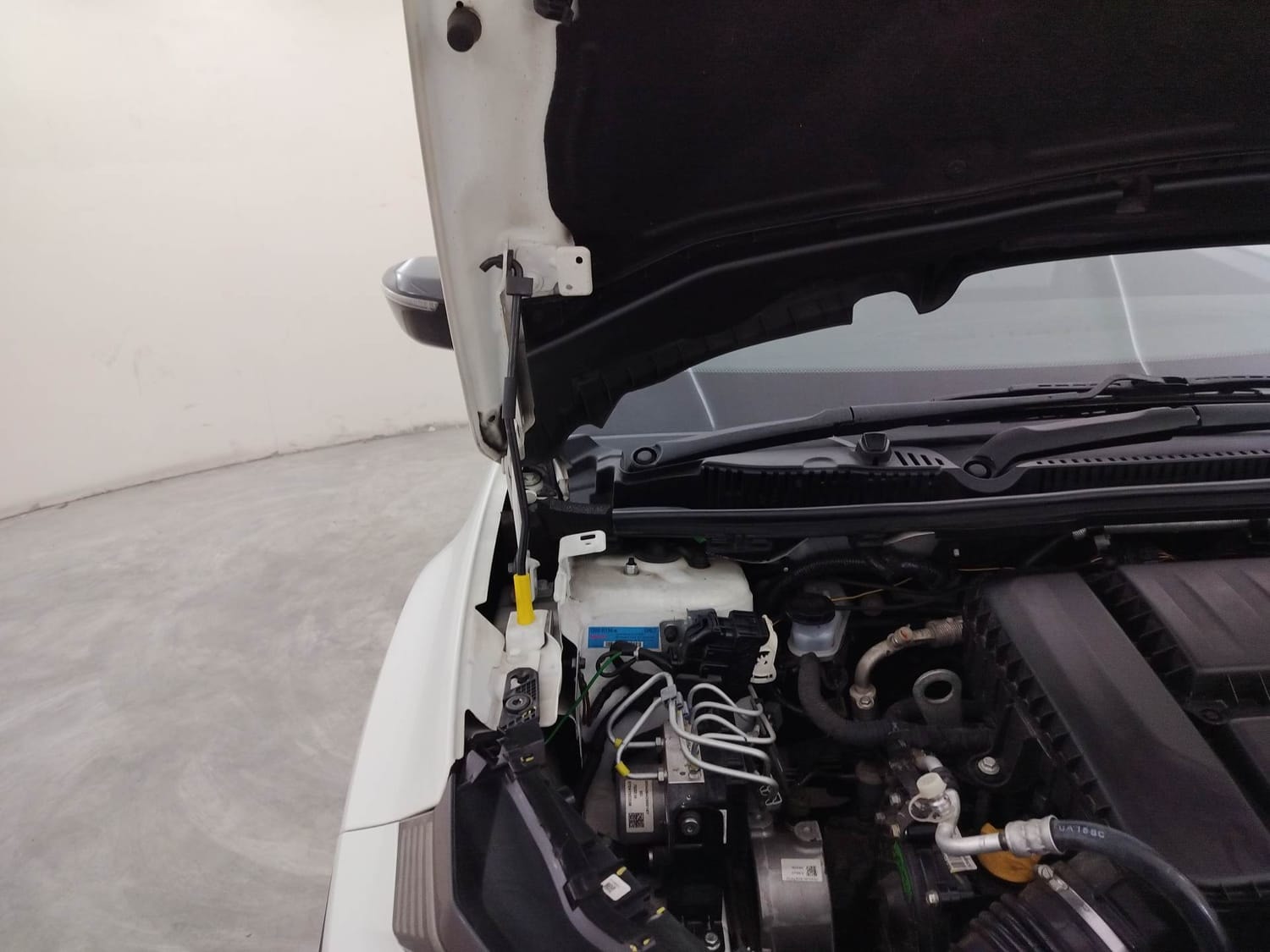 Nexon image 31 Nexon image 31