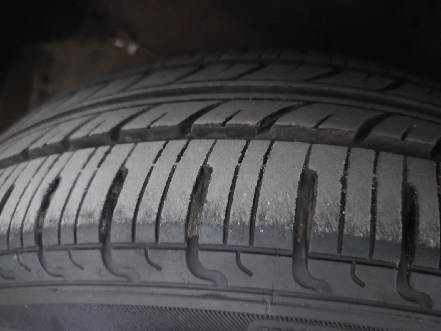 Celerio image 38 Celerio image 38