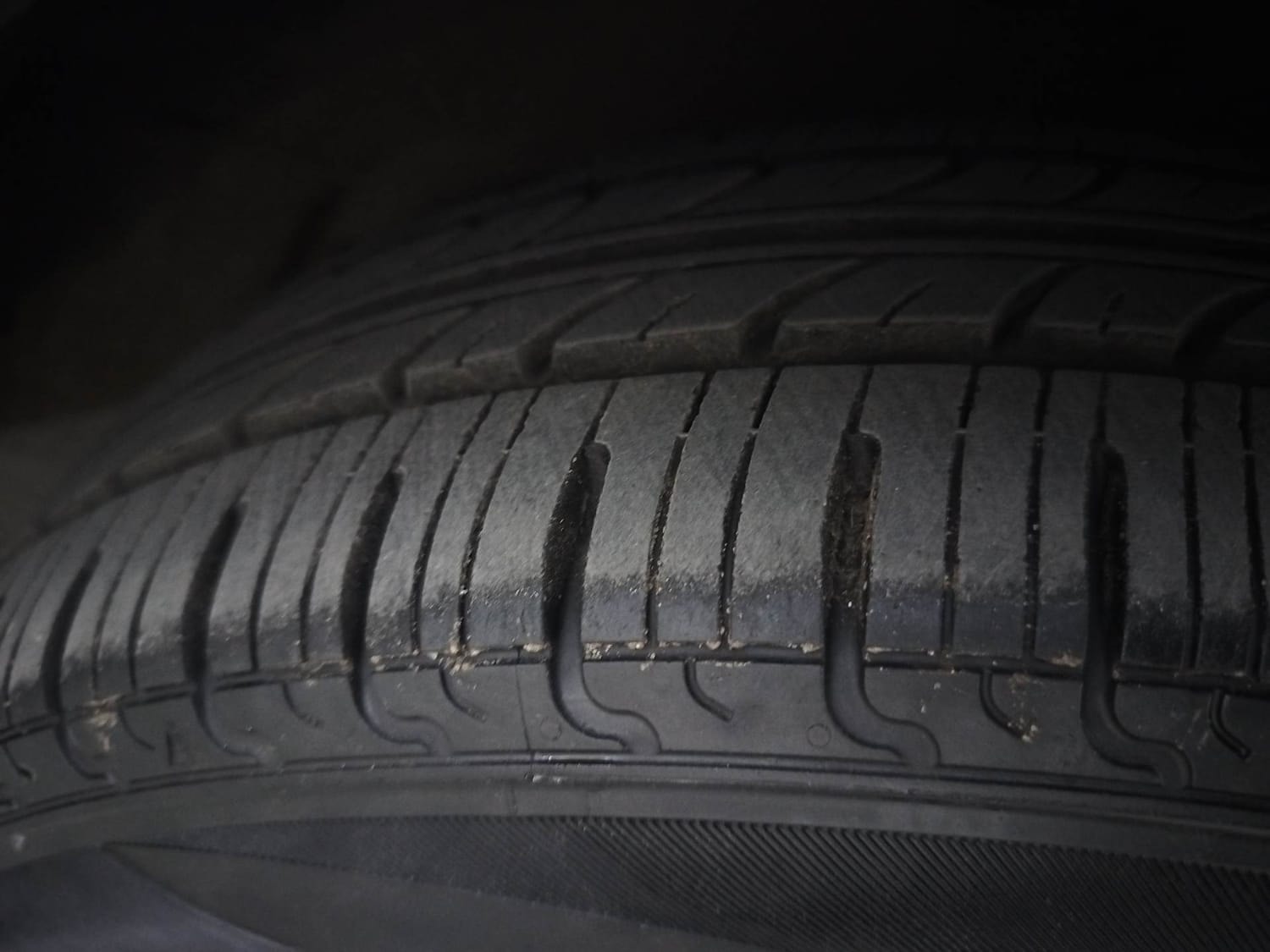 Celerio image 36 Celerio image 36