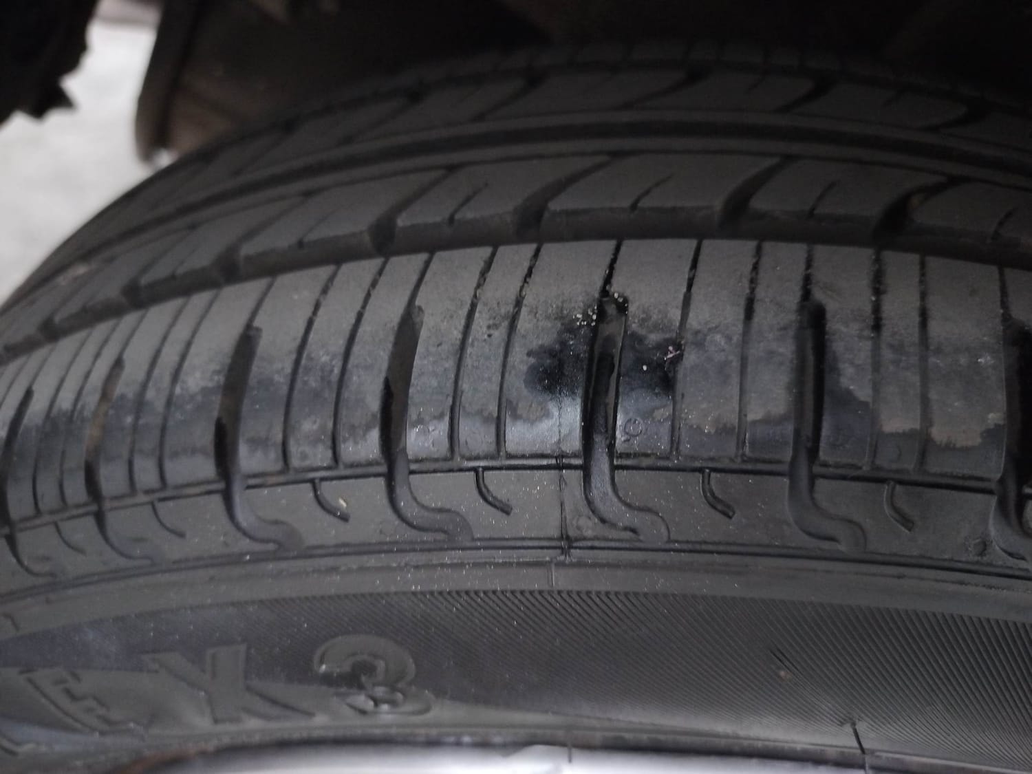 Celerio image 37 Celerio image 37