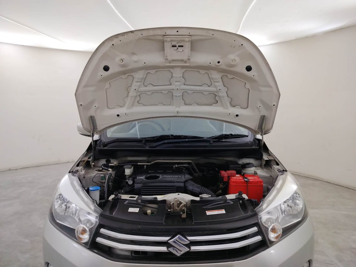 Celerio image 27 Celerio image 27