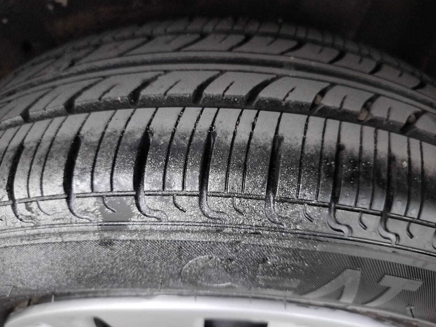 Celerio image 39 Celerio image 39