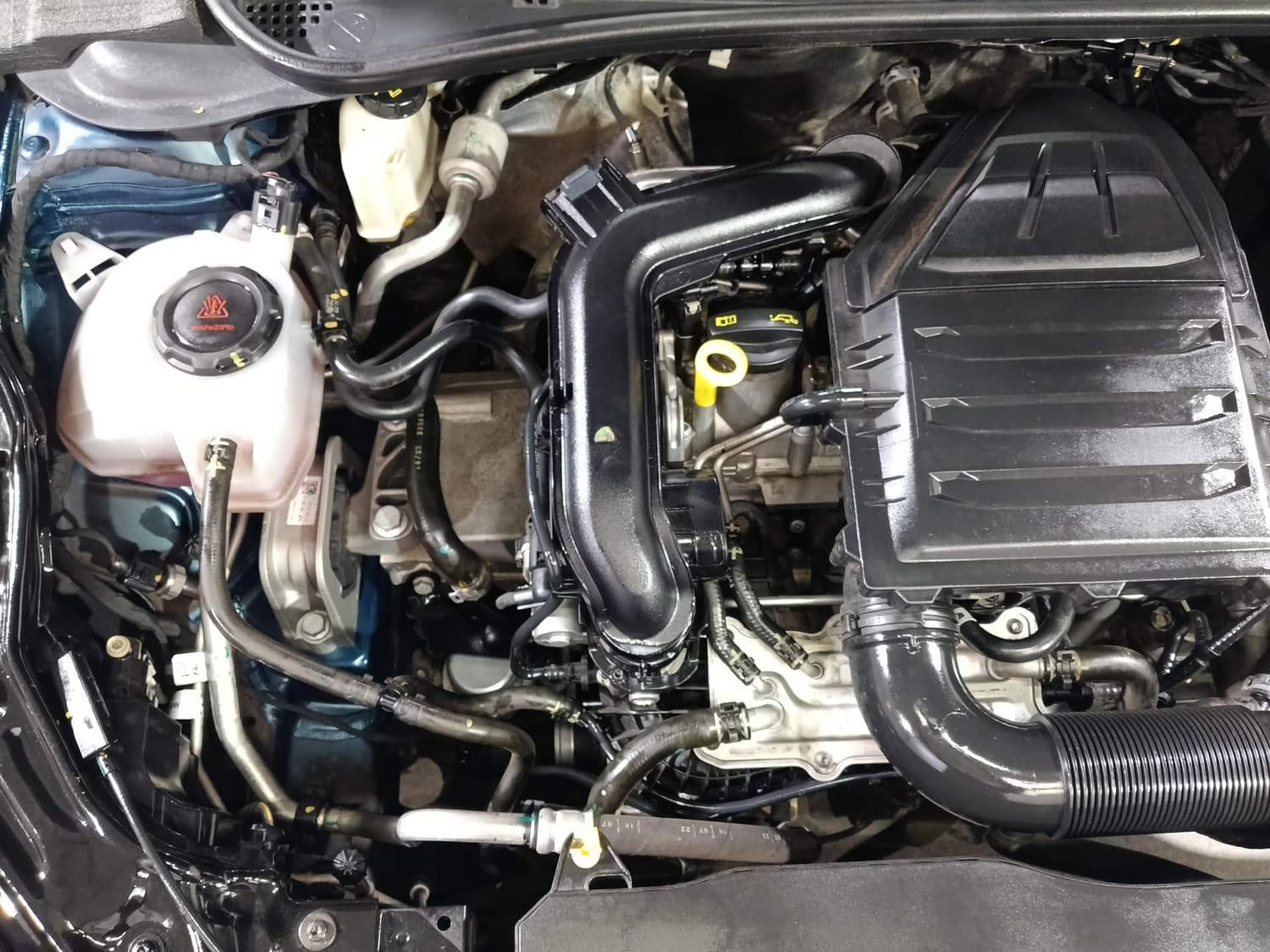 Virtus image 29 Virtus image 29