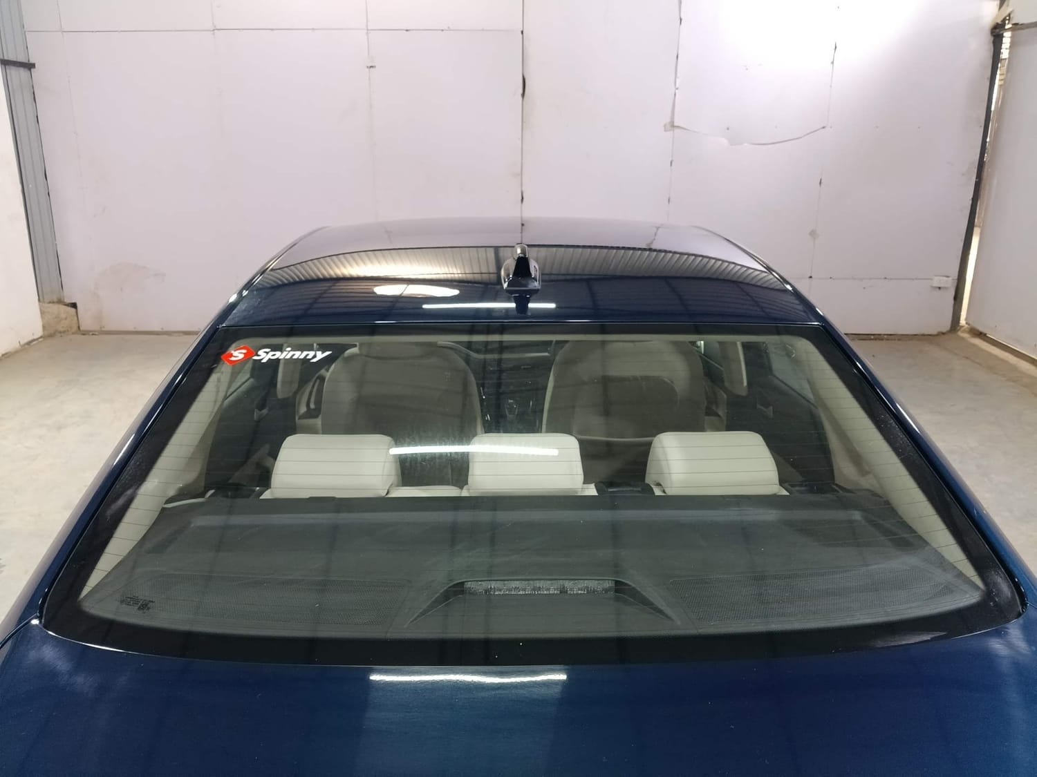 Virtus image 11 Virtus image 11