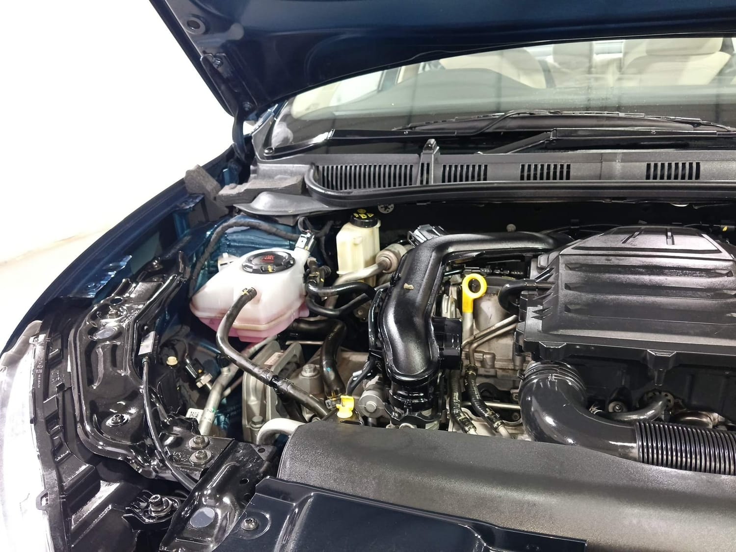 Virtus image 31 Virtus image 31