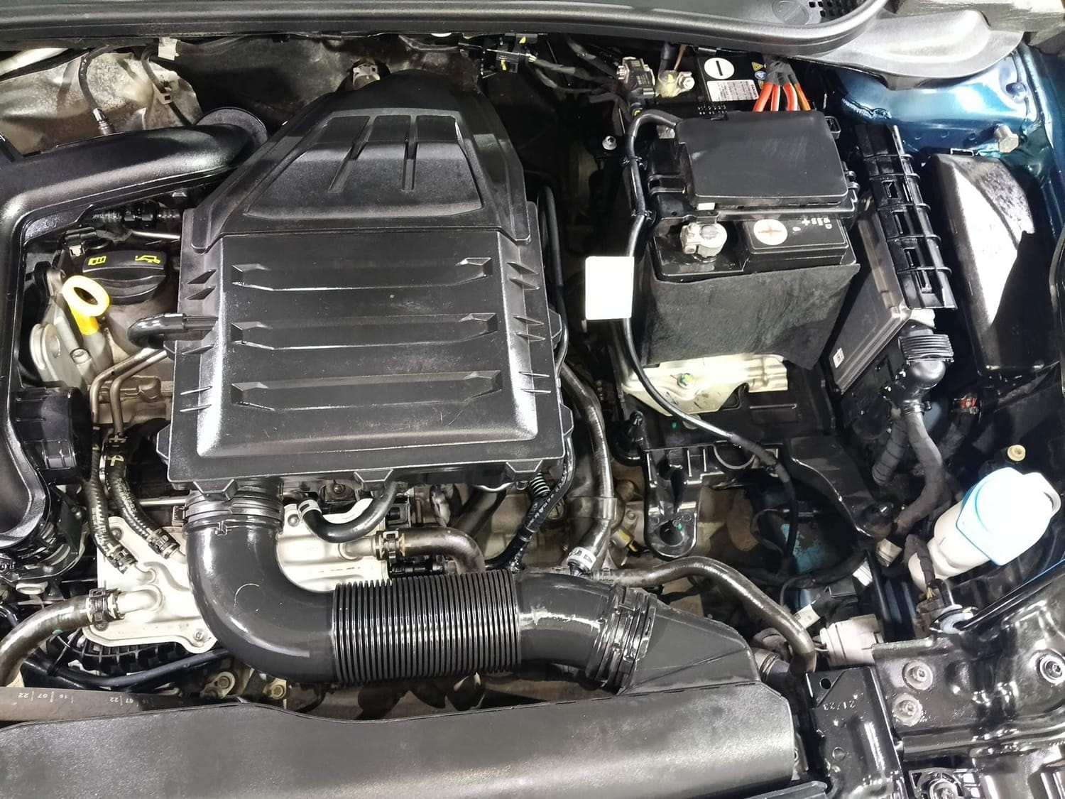 Virtus image 28 Virtus image 28